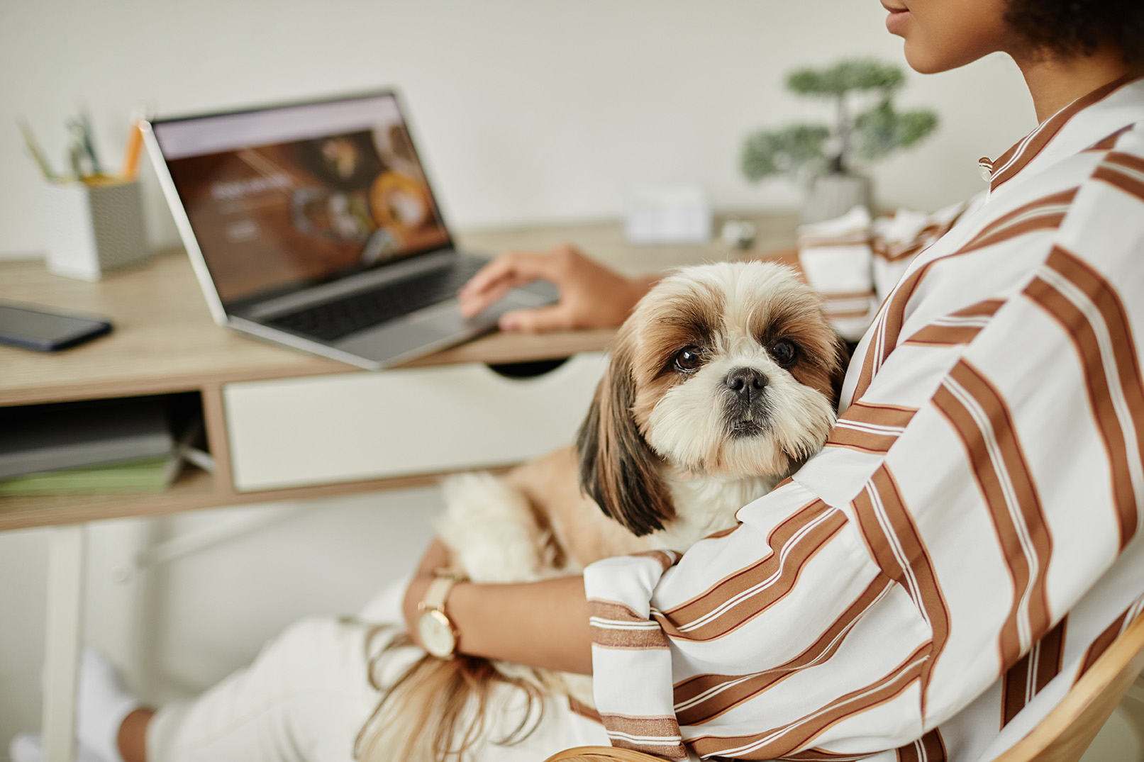 vet patient booking a vaccine appointment for their dog