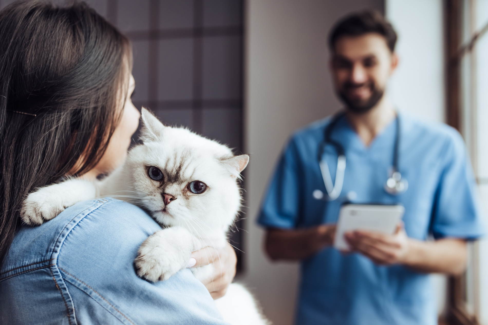 Pet owner holding cat and talking about vet nutrition options in Austin