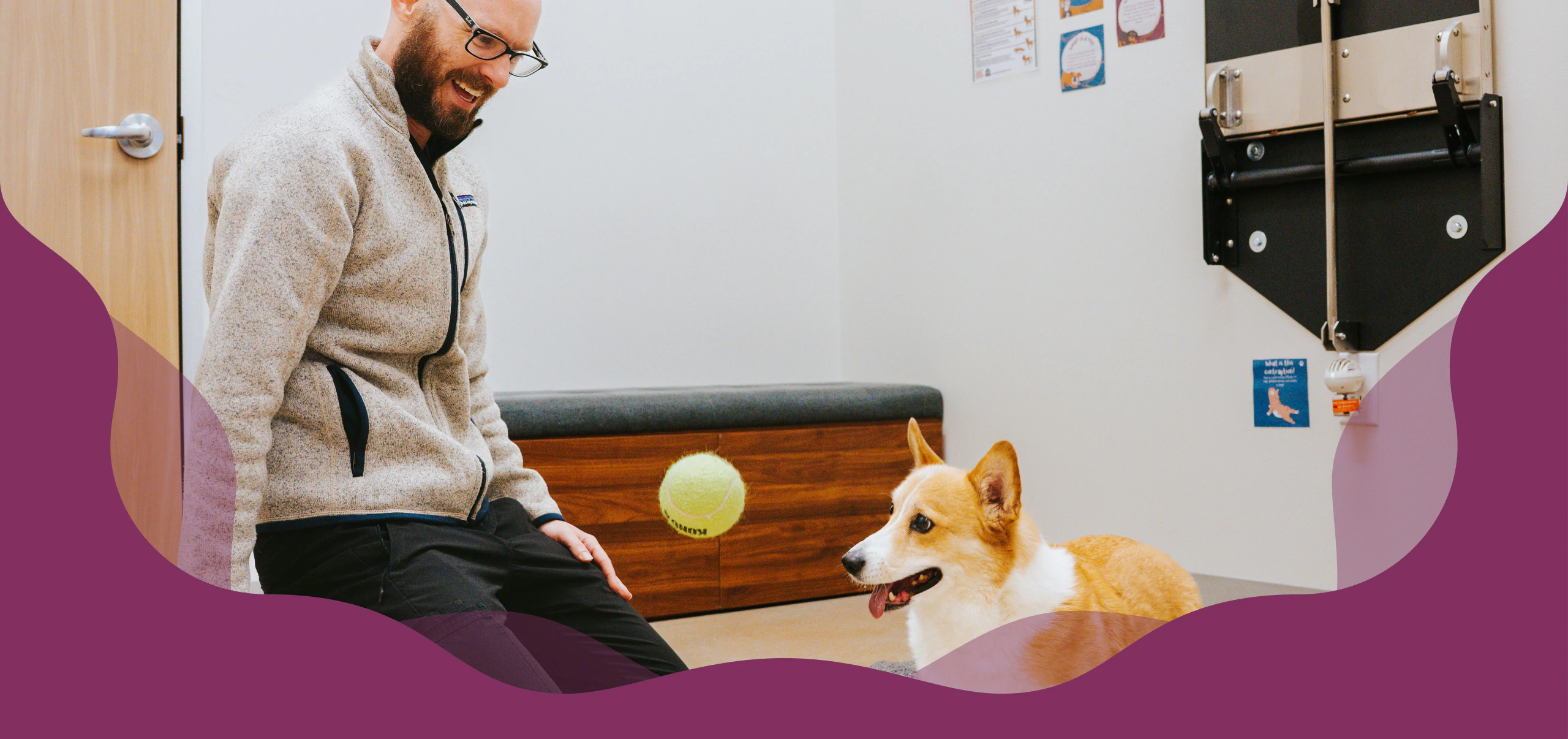The Meow Bark team playing with a corgi in an exam room
